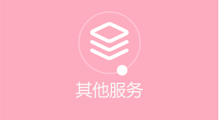 无法加载